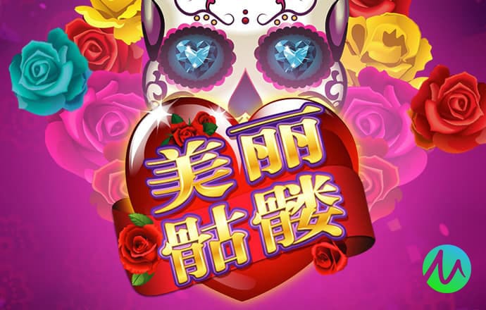 大红鹰dhy8800