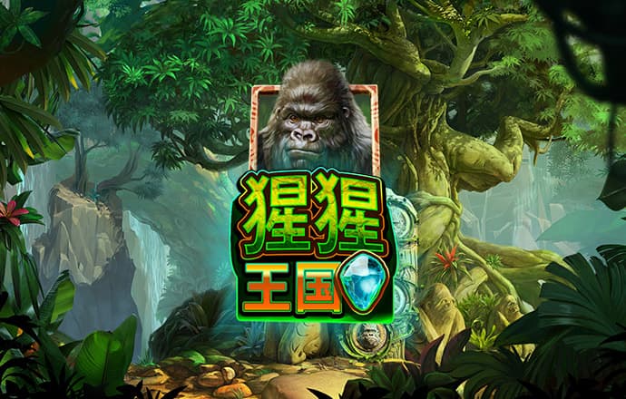 bt体育app官网